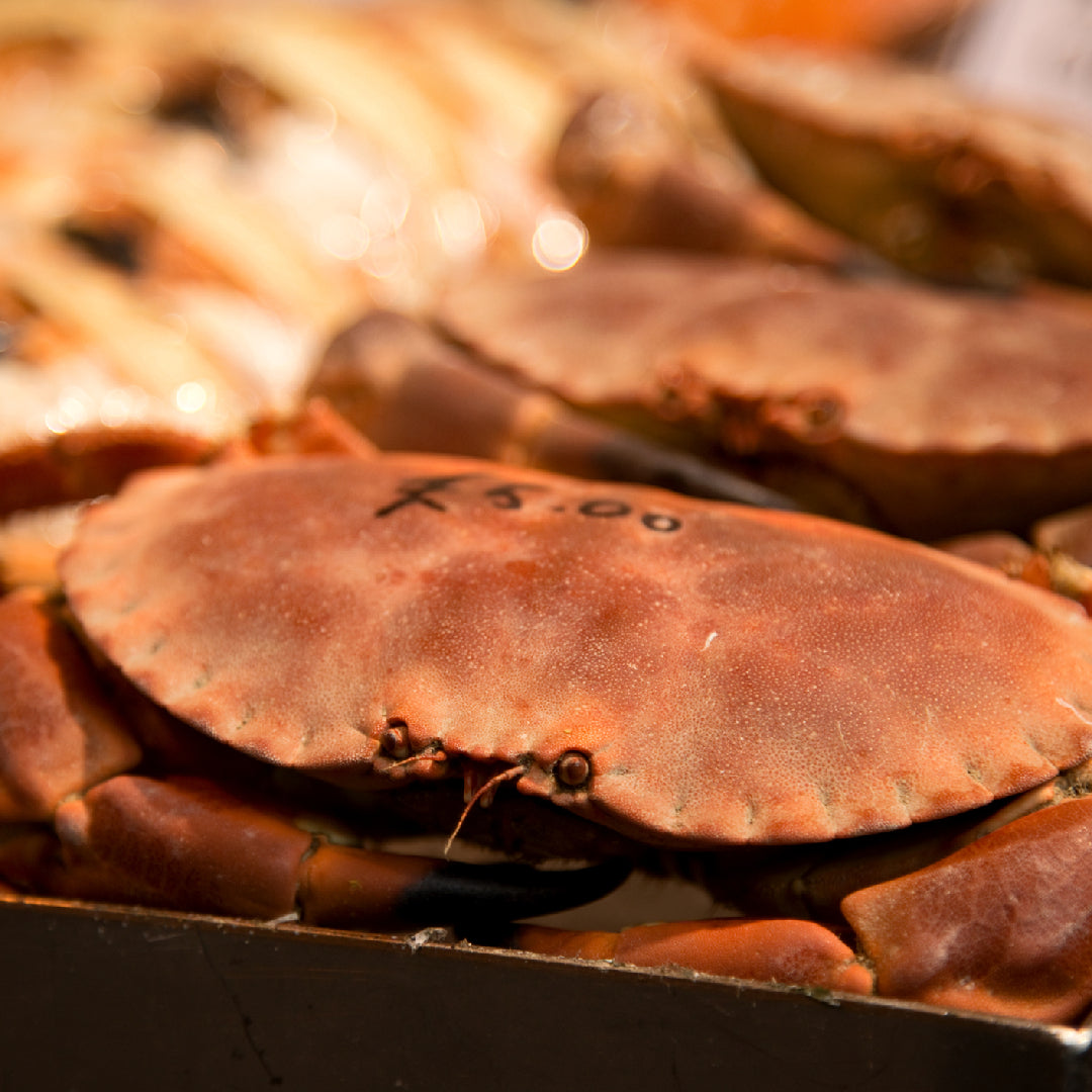 Boiled Crab for Game Night: A Guide