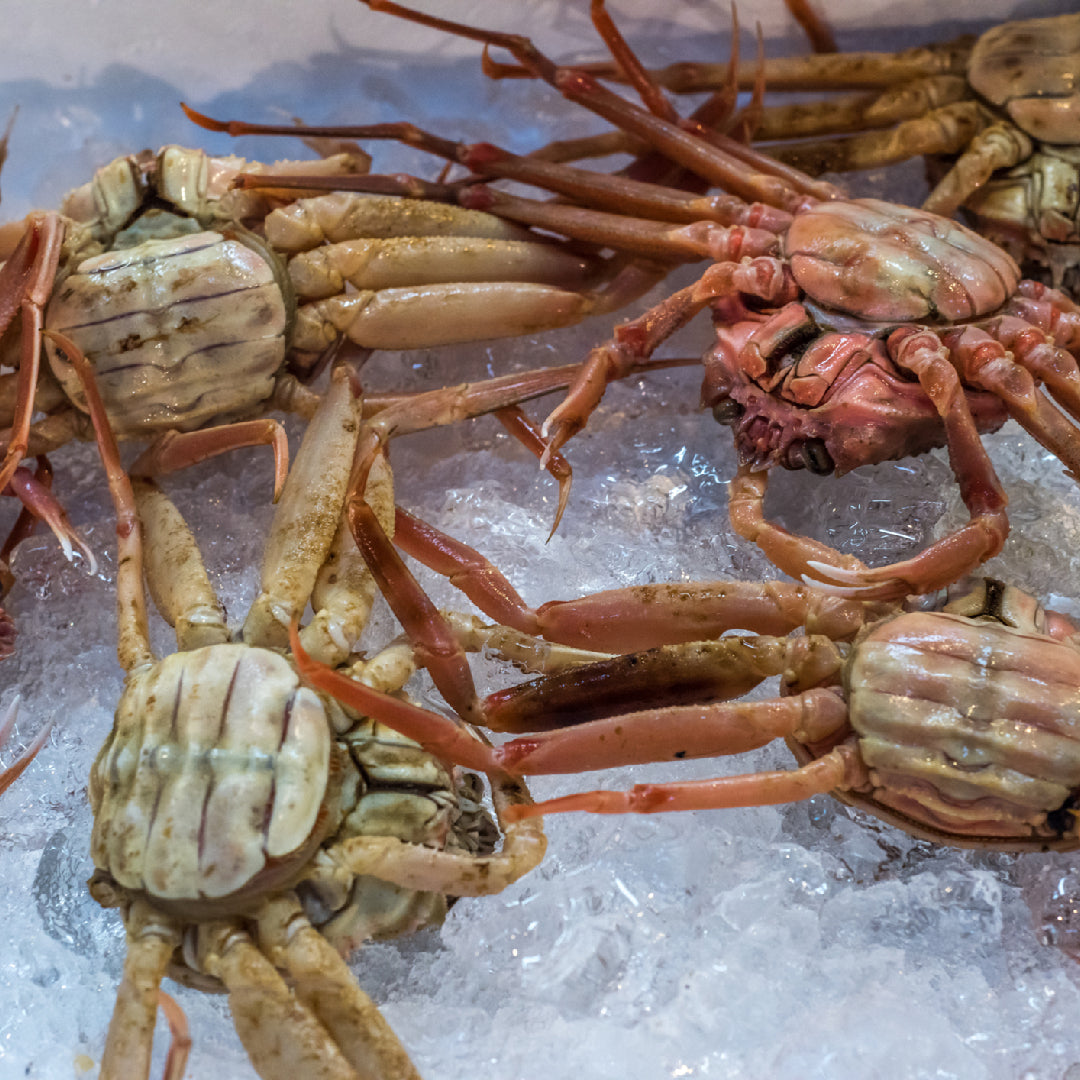 Boiled Crab vs Lobster: Which One Reigns Supreme?