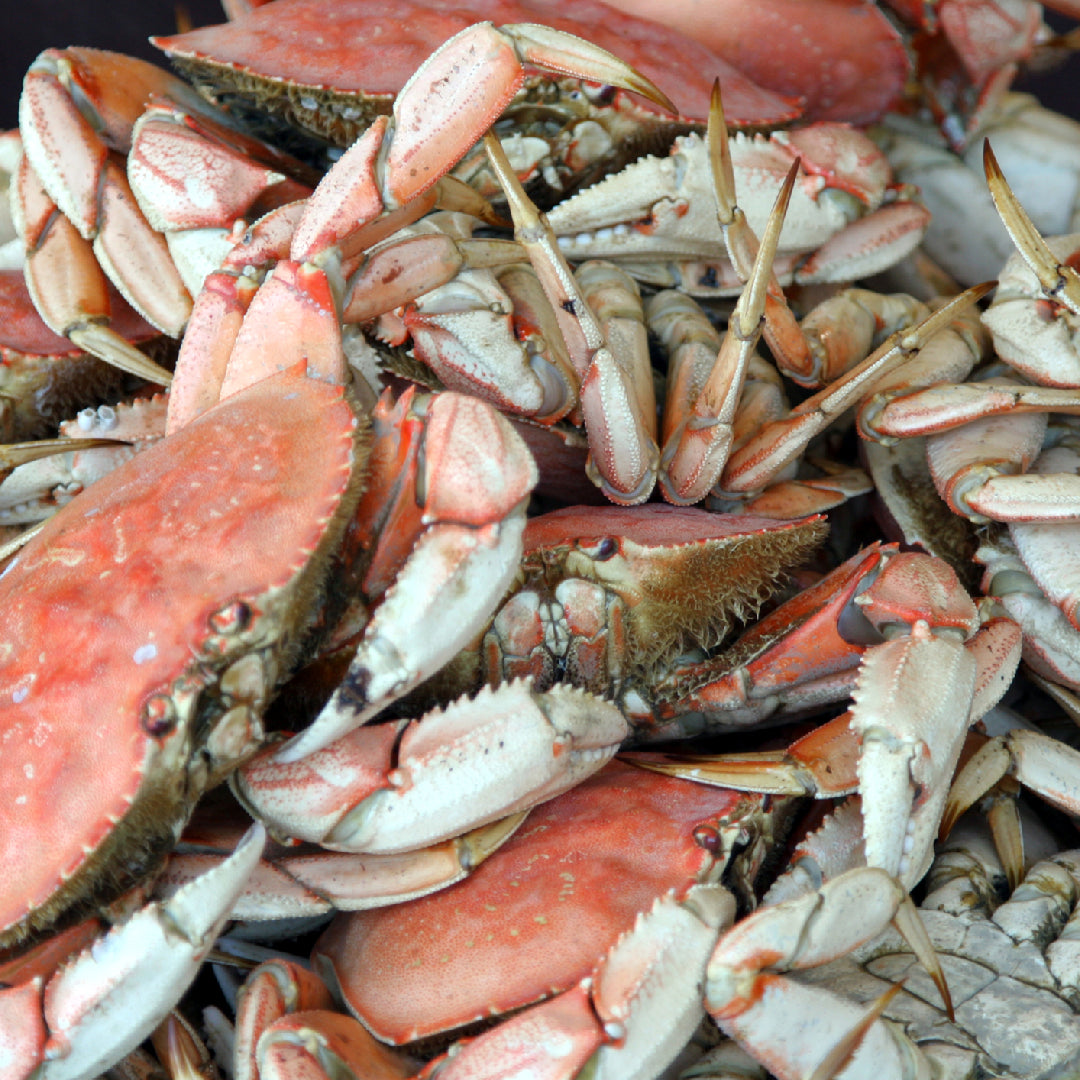 The Spiciest Boiling Crab Dishes You Must Try