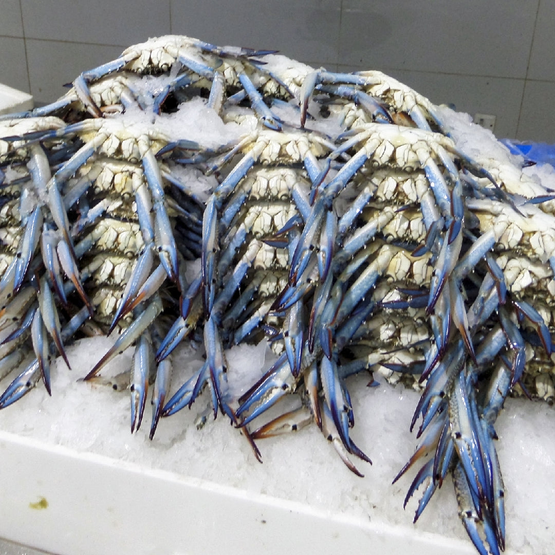 Crab with Friends: Tips and Tricks for the Ultimate Seafood Feast