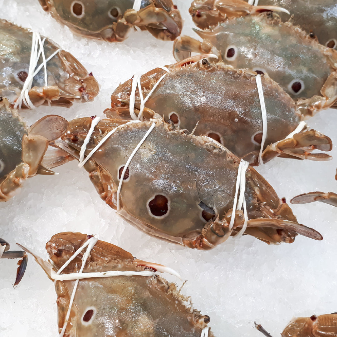 Boiled Dungeness crab and North Pacific spot shrimp side by side on a seafood platter with lemon and dipping sauce