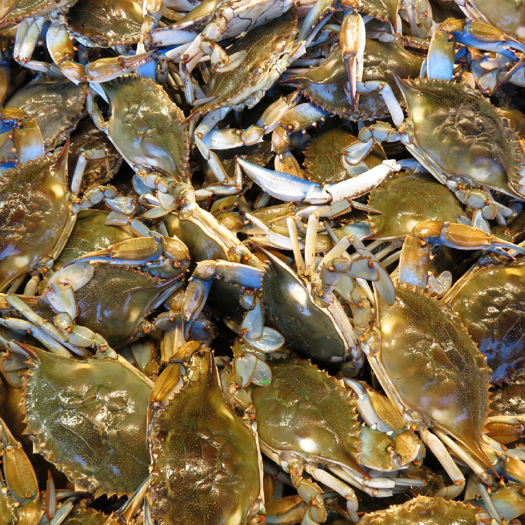 A large platter of steamed Dungeness crab with garlic butter, corn, and potatoes ready for a seafood feast challenge