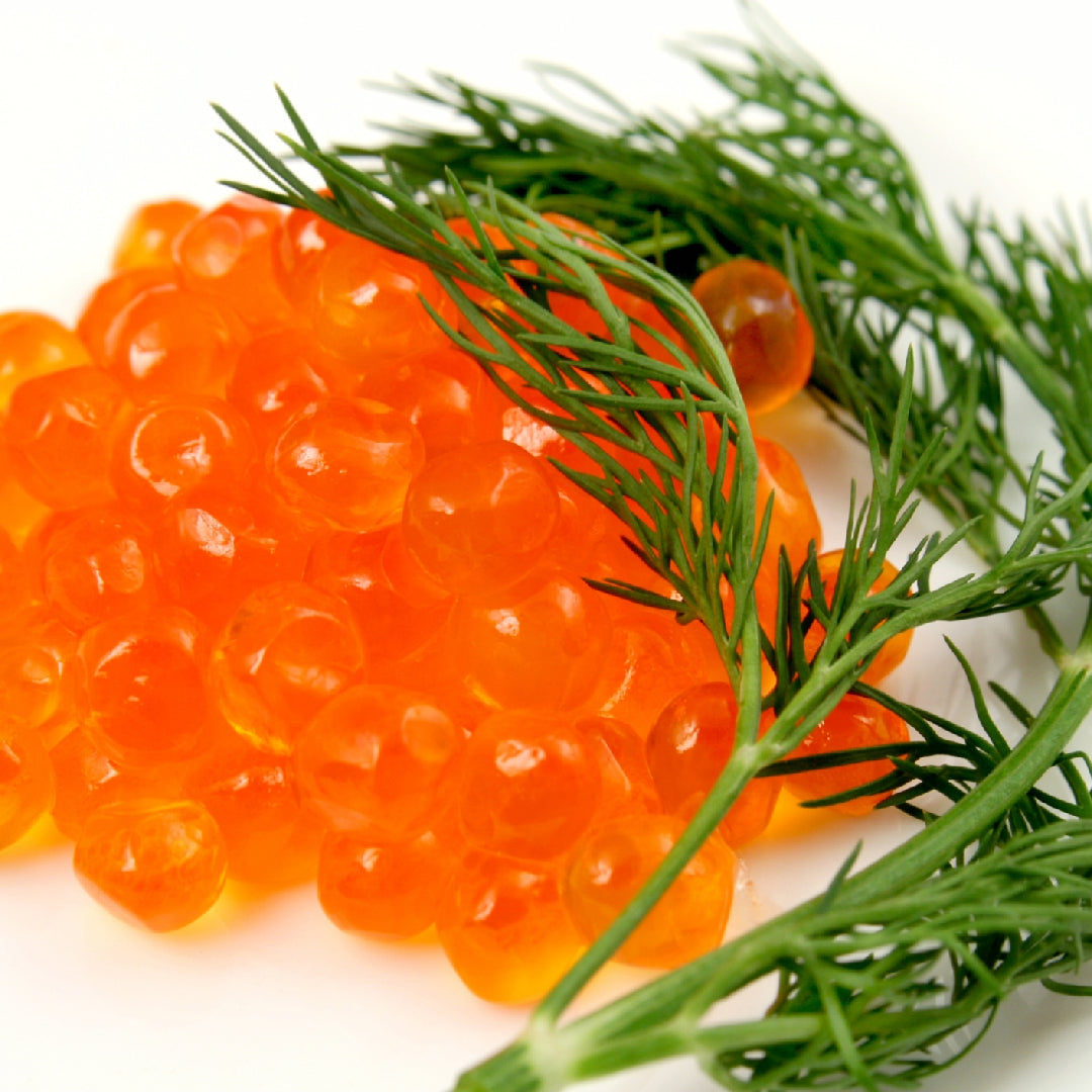How to make IKURA caviar at home – fresh salmon roe eggs separated from the skein membrane in a bowl of cold brine (water, sea salt, sugar), the first step in making homemade red caviar with a rich buttery flavor