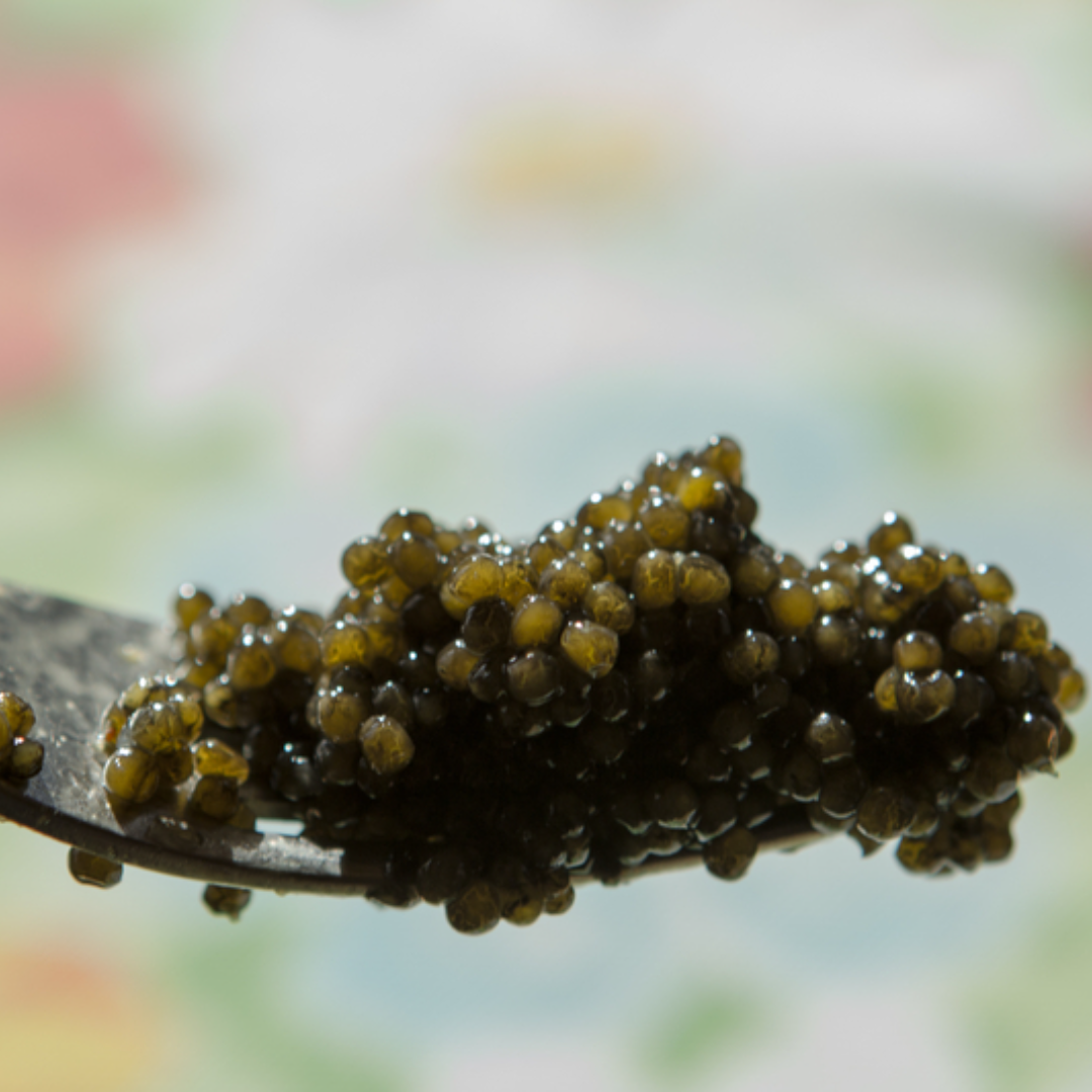 Best Caviar in Seattle