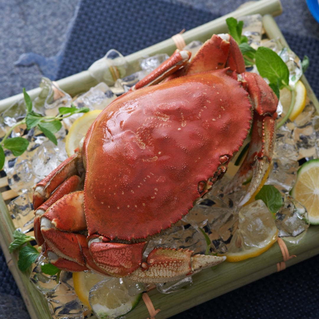 Fresh cooked Dungeness crab on a platter, showing the bright orange shell and sweet white meat