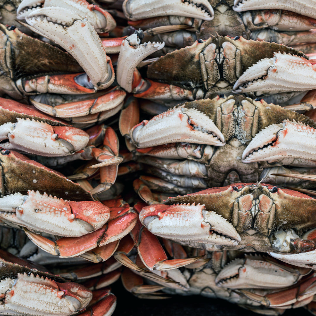Dungeness crab feast spread on a table with sides and dipping sauces