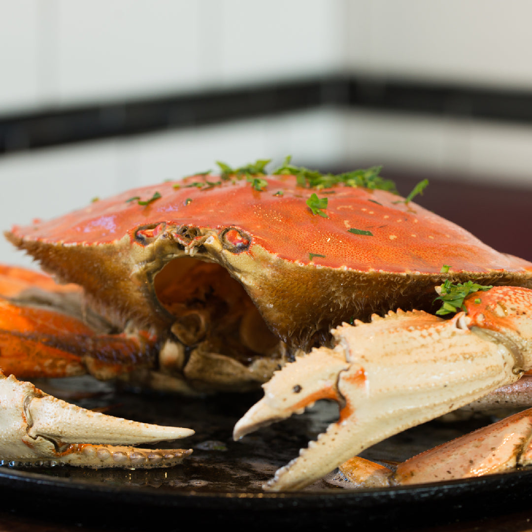 Fresh Dungeness crab on a wooden dock with fishing boats in the background, Pacific Northwest coast
