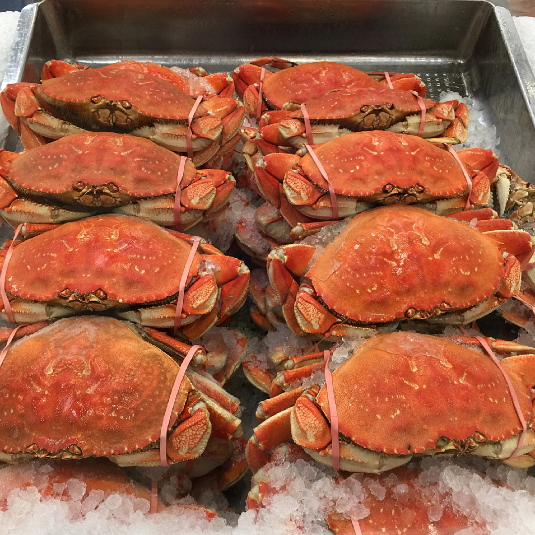 Creamy Dungeness crab legs chowder in a white bowl garnished with fresh parsley, served with crusty bread