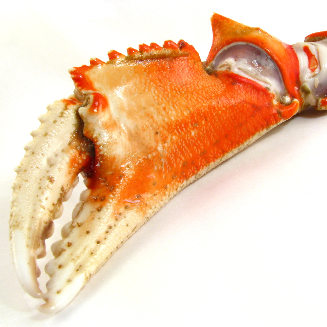 Fresh Dungeness crab legs served on a wooden board with melted butter and lemon wedges