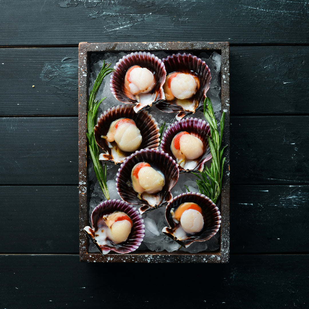 Seared diver scallops served over mixed greens with citrus segments, avocado, and a light lemon dressing