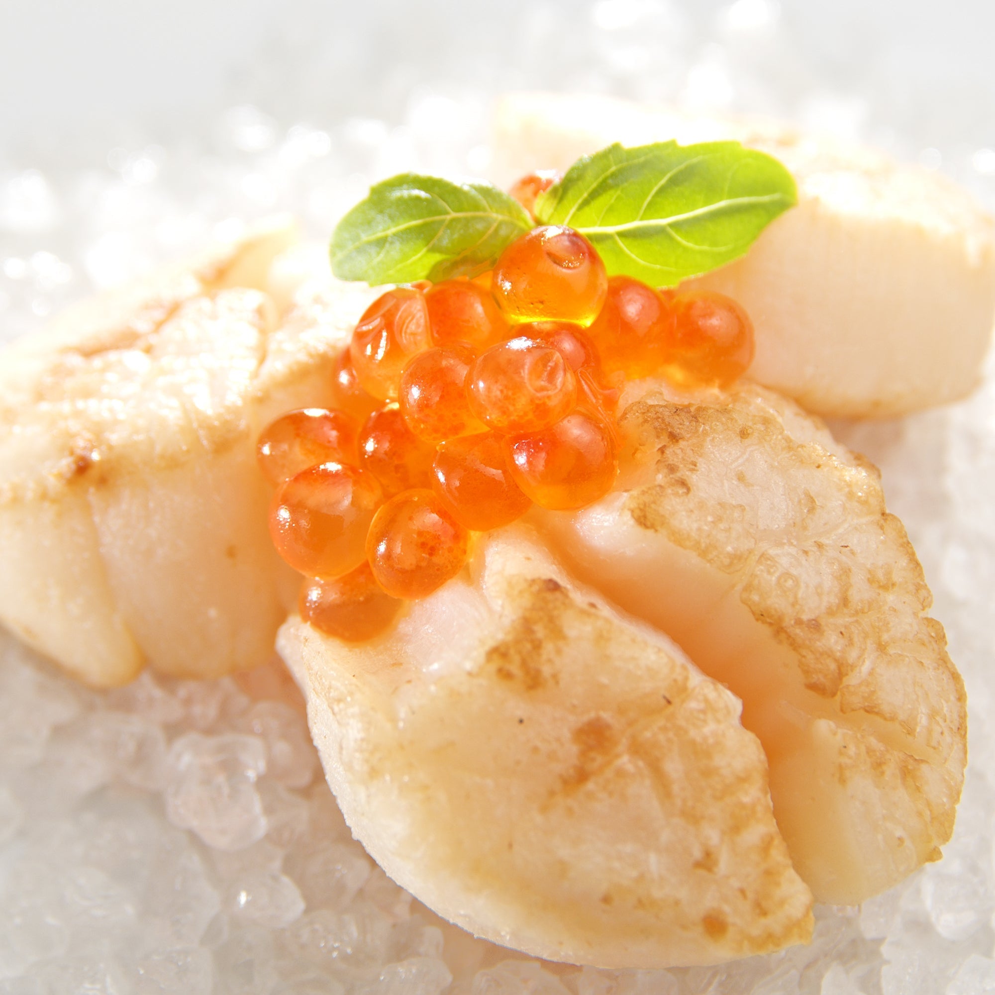 An elegant plate of seared live scallops with garnish at a Michelin-starred restaurant, showcasing fine dining seafood presentation