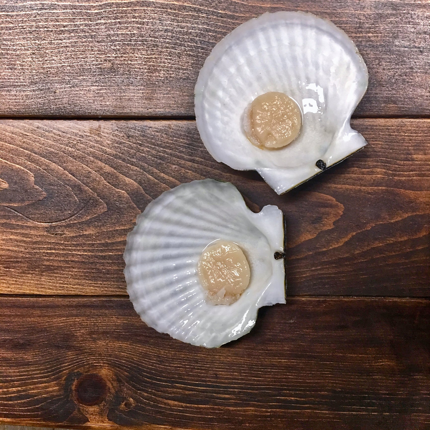How to Make Perfect Diver Scallop Cakes: Recipe and Tips