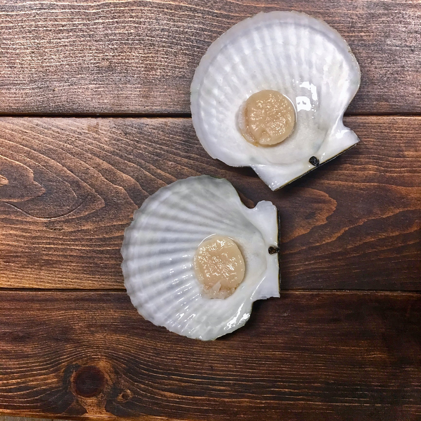 Golden pan-seared diver scallop cakes served with lemon aioli and fresh herbs on a white plate