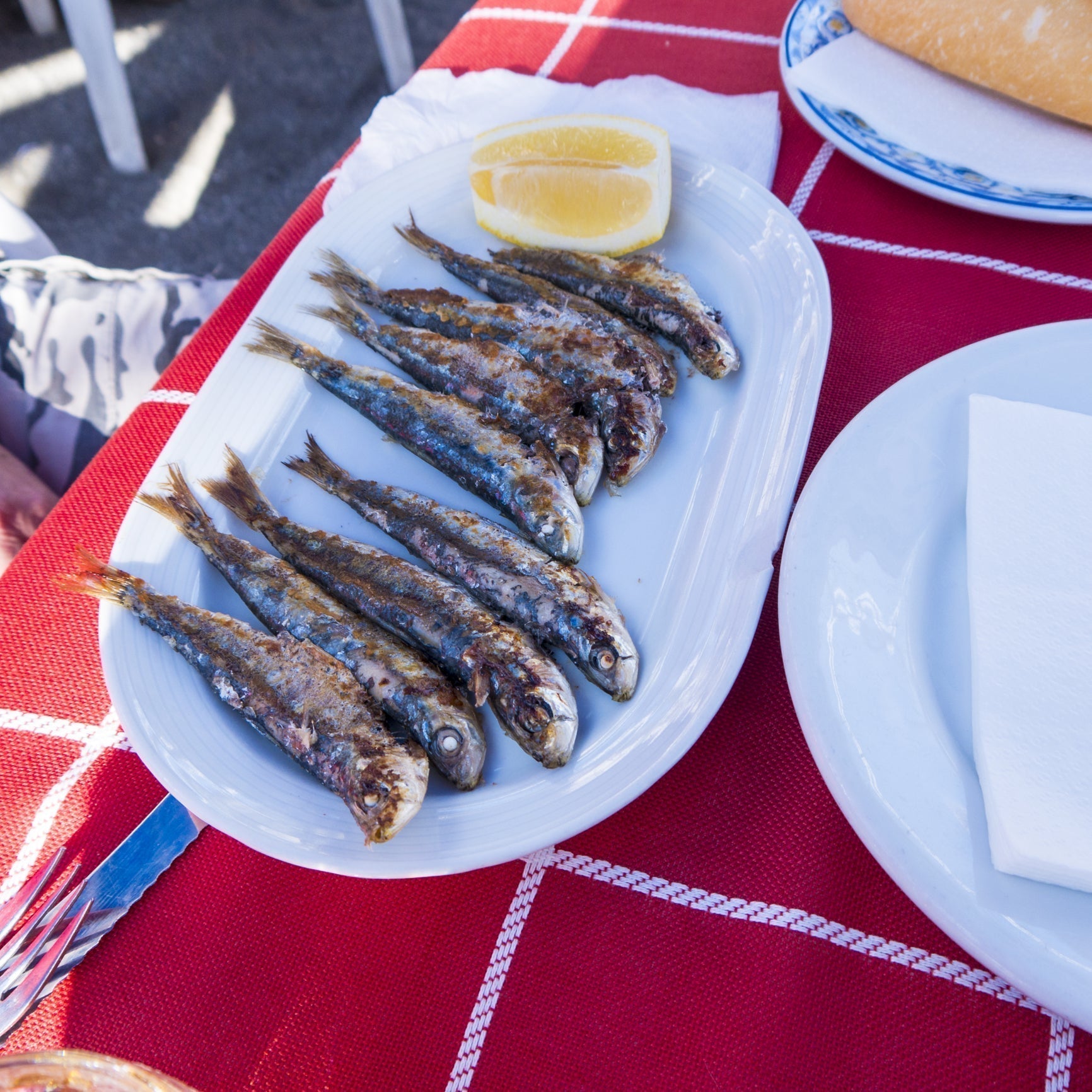 Fresh whole sardines displayed on ice, ready for purchase online