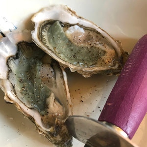 The Rise of Sustainable Oyster Farming: A Delicious and Eco-Friendly Trend