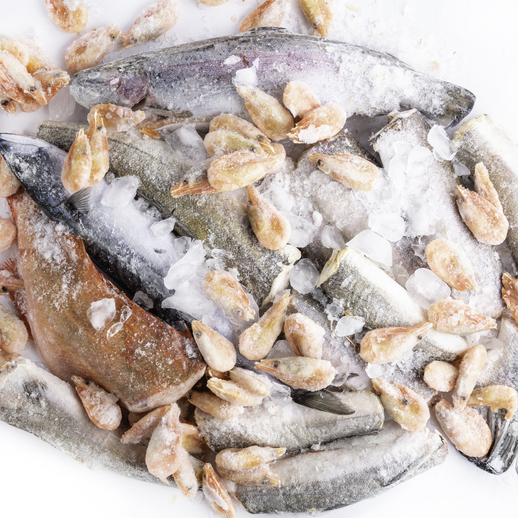 Pacific whiting (hake) fillet showing the clean white flesh and firm texture — a mild, sustainable whitefish that compares favorably to cod, haddock, and pollock for everyday cooking