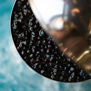 The Best Places to Buy Osetra Caviar Online and Offline
