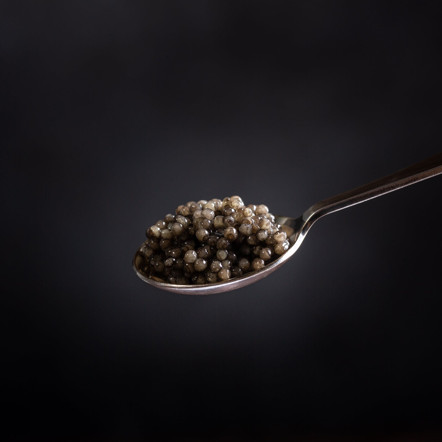 Beluga caviar pearls served in a tin on crushed ice with a mother-of-pearl spoon