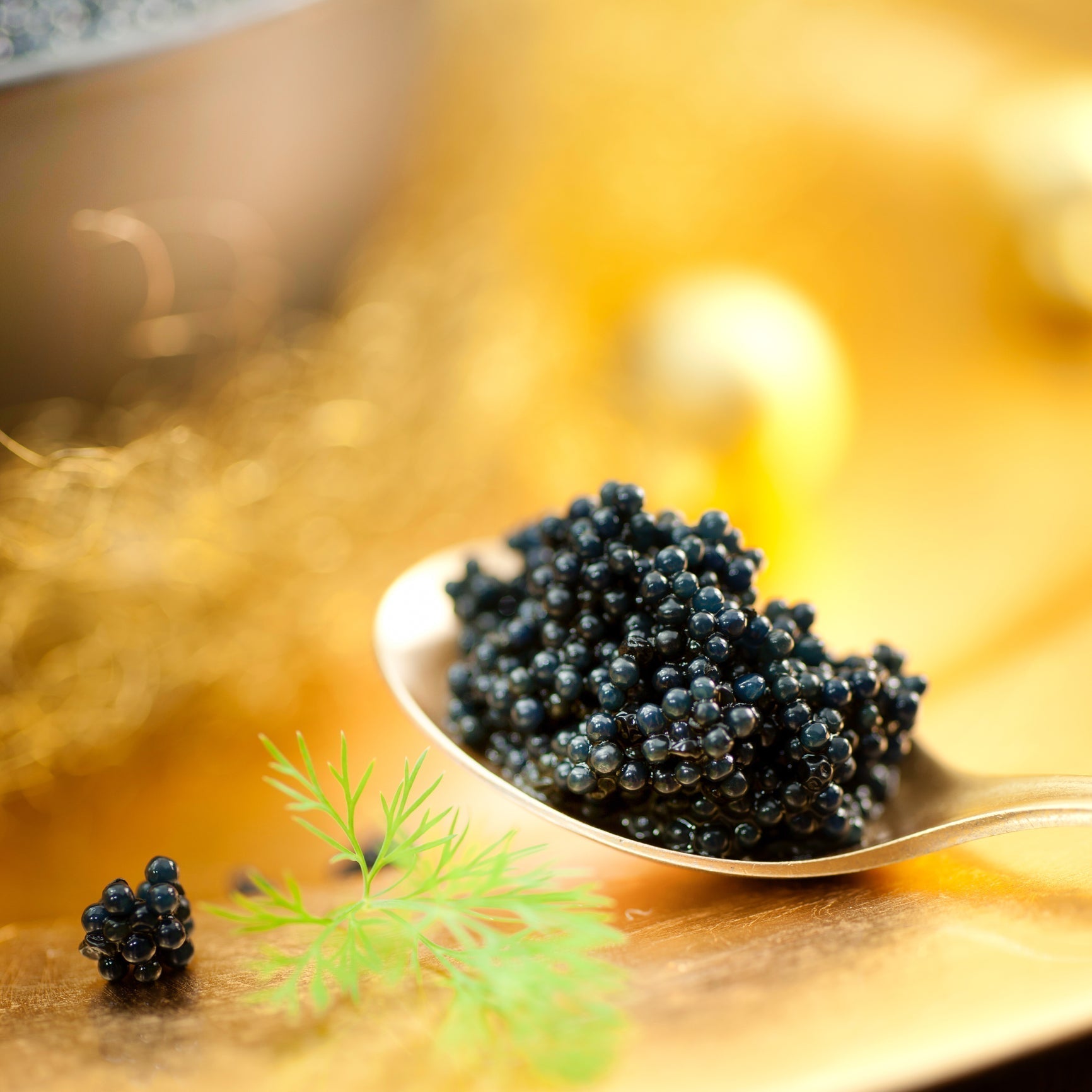 Black caviar in a tin on ice with a warning label concept, representing health risks and safe consumption guidelines