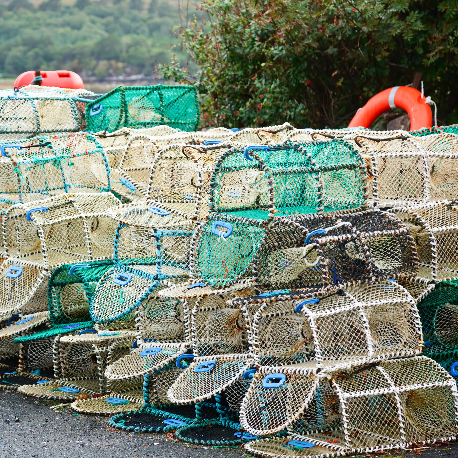How to Make a Crab Trap at Home