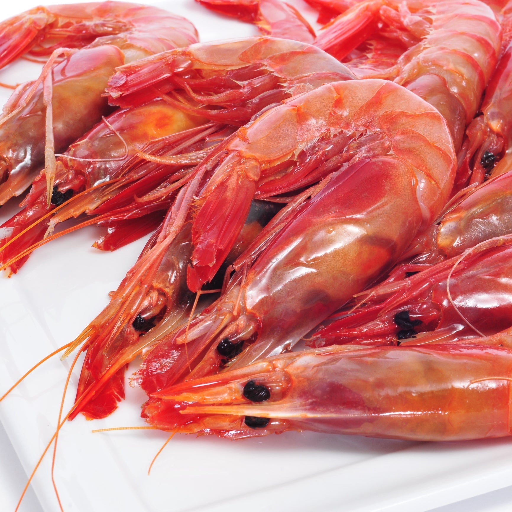 Cooked shrimp — one of the lowest-mercury seafoods available and an FDA-recommended choice during pregnancy; pregnant women can safely eat 8–12 oz (2–3 servings) of cooked shrimp per week