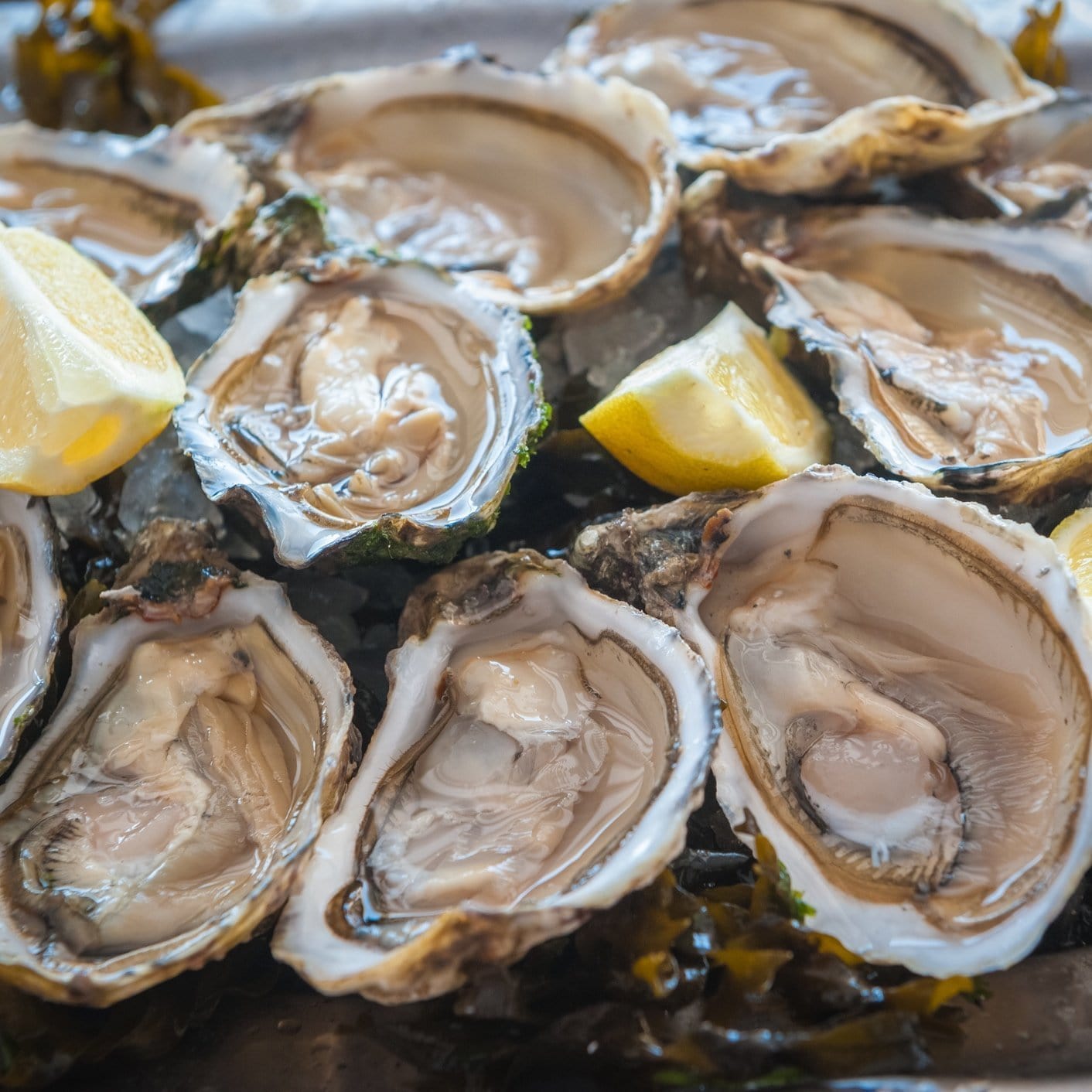 Romantic dinner spread featuring oysters on the half shell, dark chocolate, pomegranate, figs, and other aphrodisiac foods arranged on a rustic wooden table