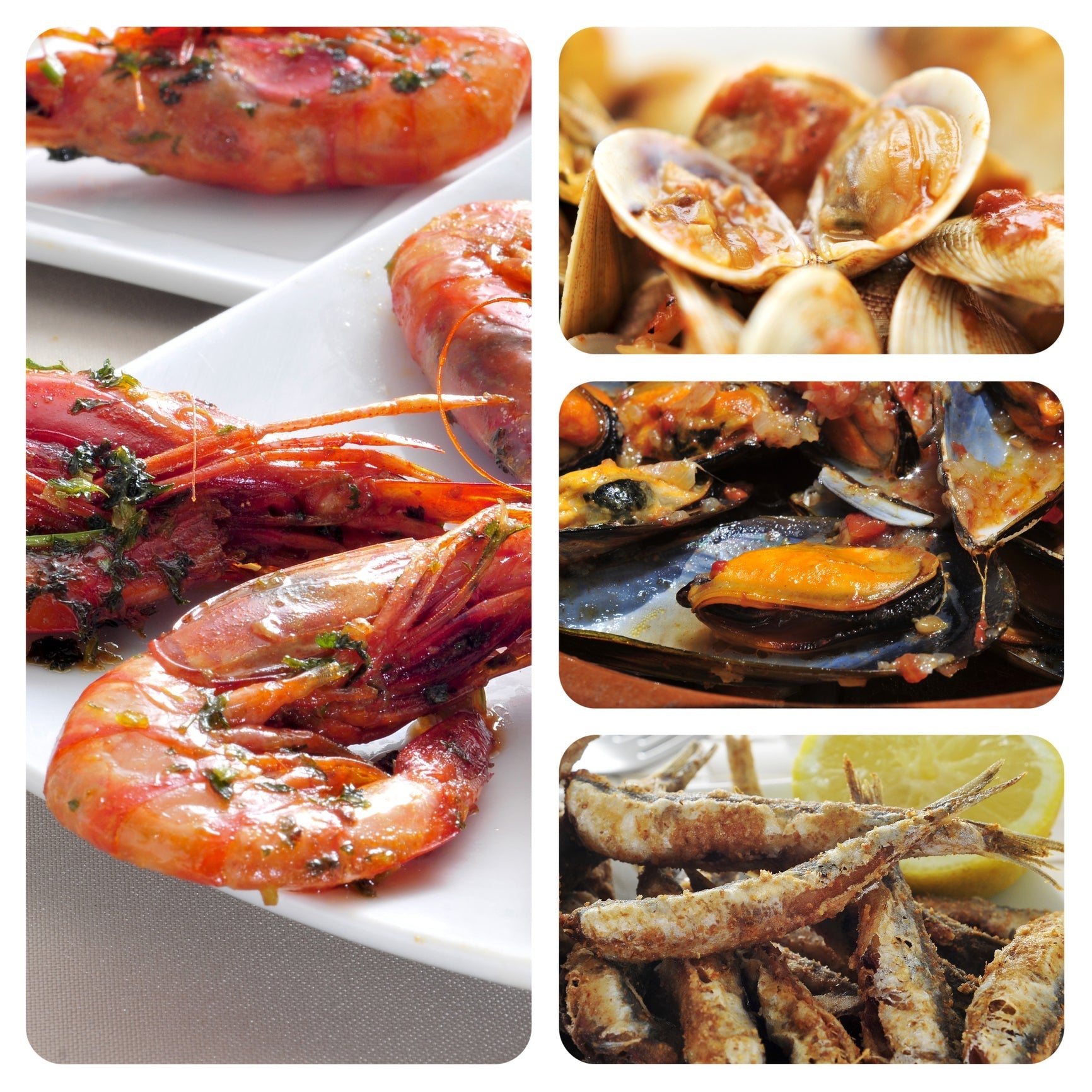Assorted easy seafood recipes including grilled salmon, shrimp pasta, and crab cakes