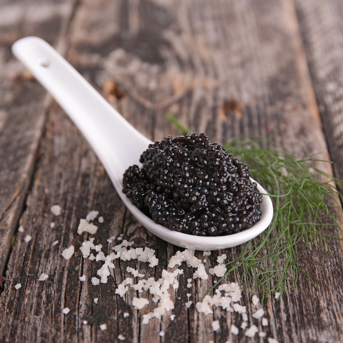 Premium black caviar varieties including Beluga, Ossetra, and Kaluga served on mother-of-pearl spoons on crushed ice