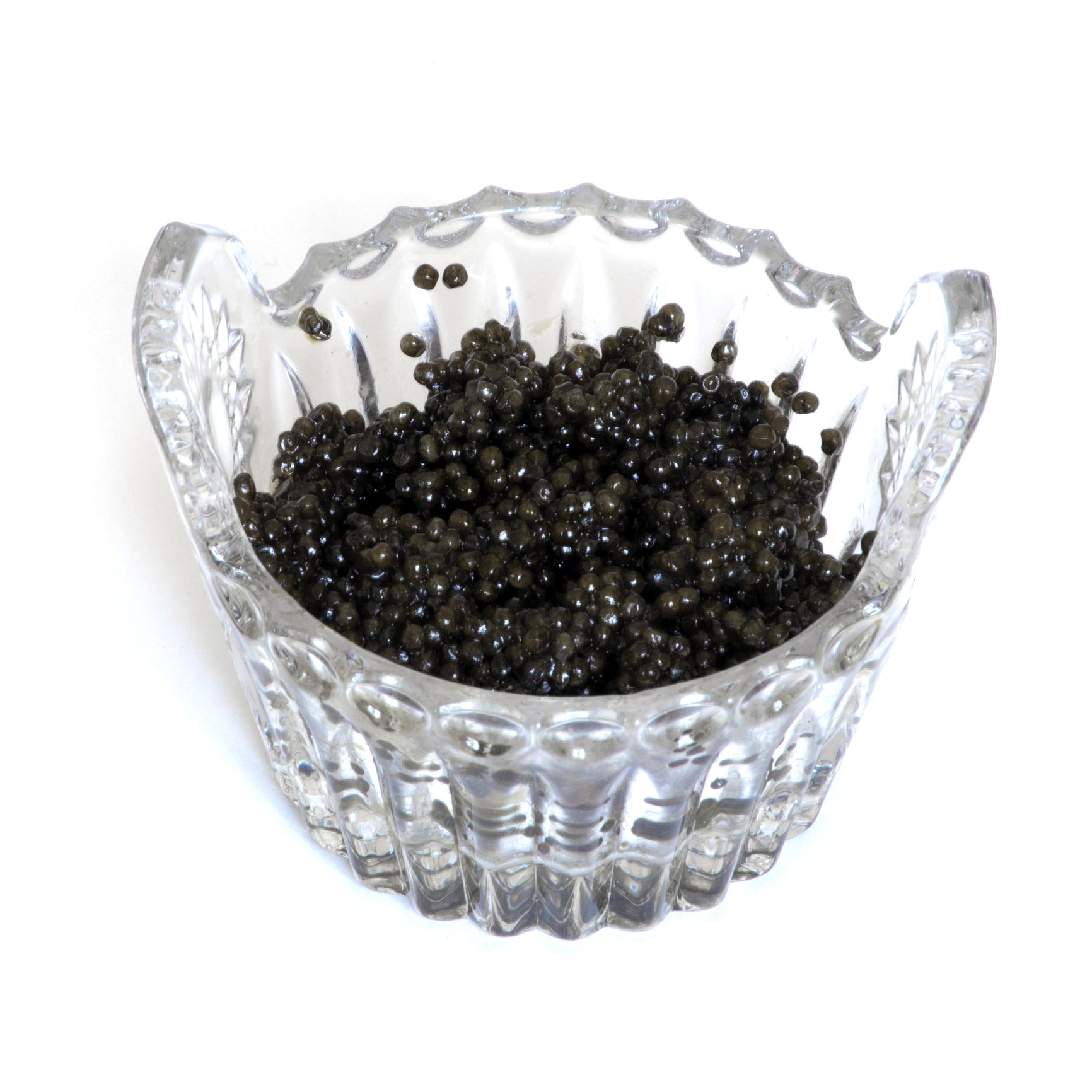  Story Behind Black Caviar