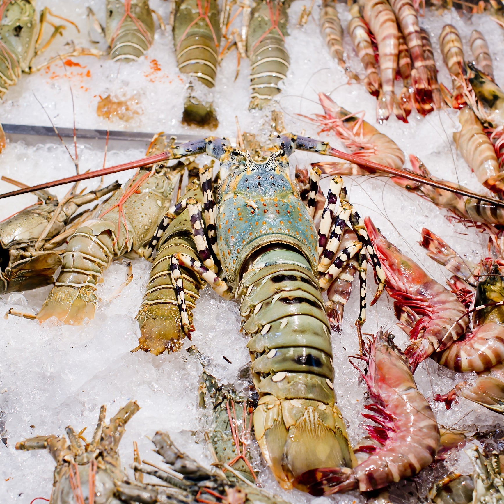 Flavorful Seafood Curry Recipes for Your Next Meal