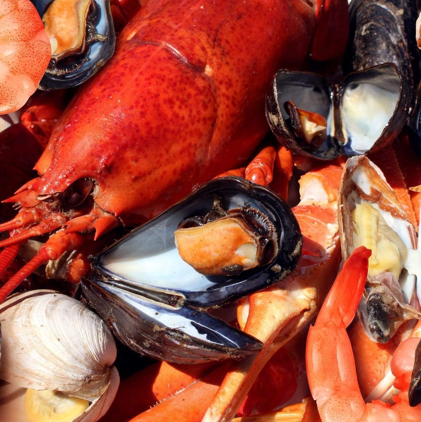 Assorted fresh shellfish including crab, mussels, and shrimp on ice