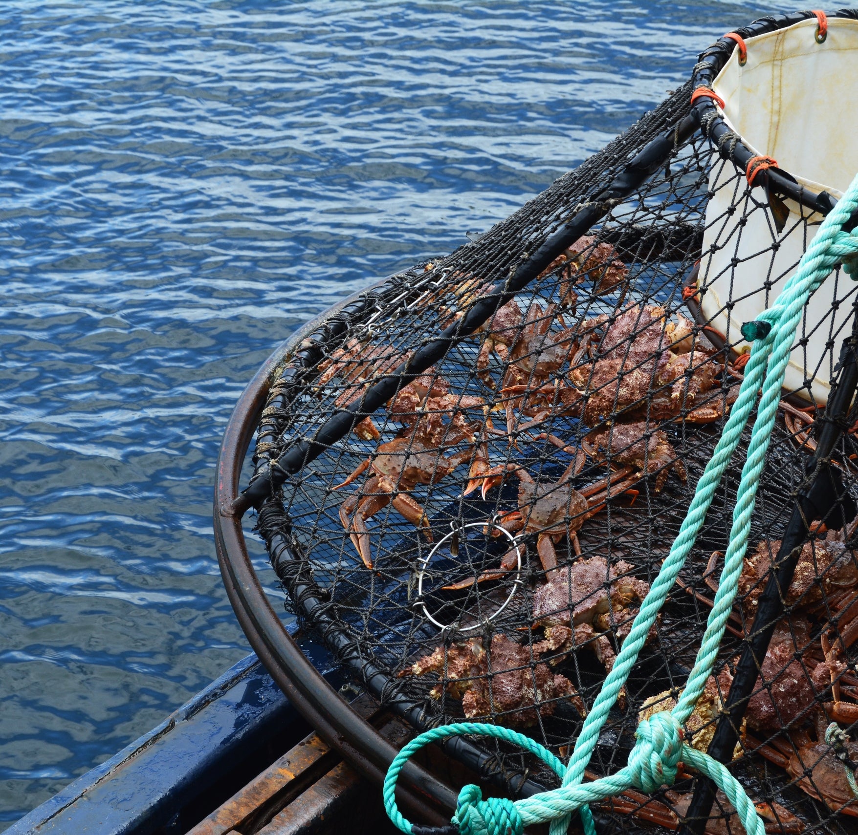  A crab trap on a dock with a crabbing net and bait.