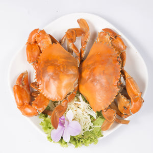 Five delicious crab dishes on a white plate