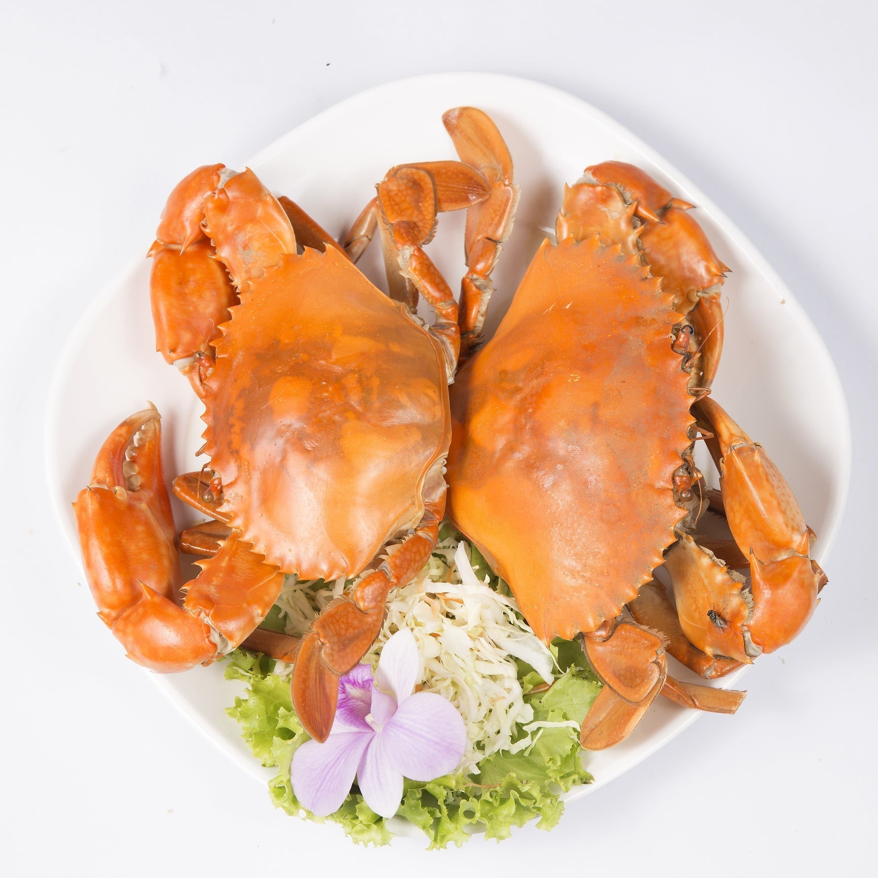 Five crab dishes arranged on a table: Maryland crab cakes, crab-stuffed mushrooms, crab linguine, crab bisque, and Dungeness crab cioppino