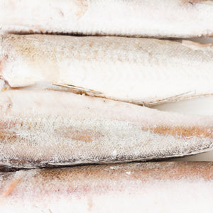 Pacific Whiting: The Perfect Seafood for Your Next Family Dinner