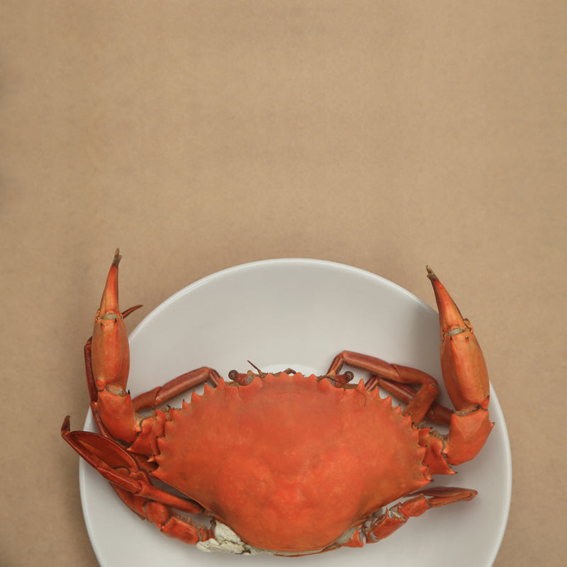 How to Cook Red Crabs