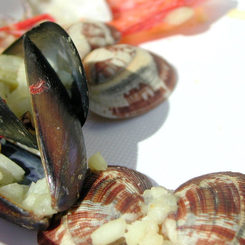 Five mussel dishes — steamed in white wine, coconut curry, grilled with herb butter, tomato basil broth, and chorizo with white beans
