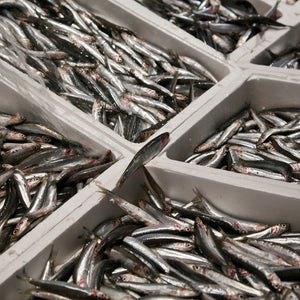 The Seafood Market: SWOT Analysis