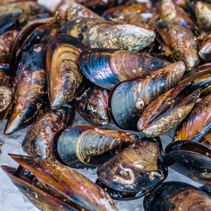 Mussels: A Seafood Lover's Dream