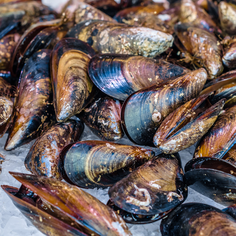 Steamed mussels in a white wine broth served in a large pot with garlic and fresh parsley