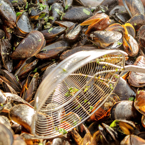 Mussels: The Hidden Culinary Gem