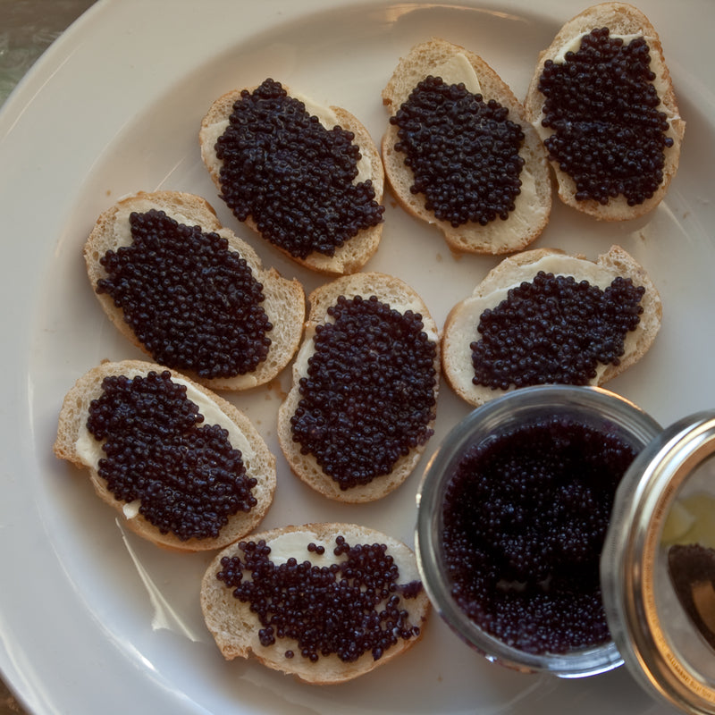 Assorted caviar types including Beluga, Osetra, and Sevruga displayed on a decorative serving platter with blinis and champagne