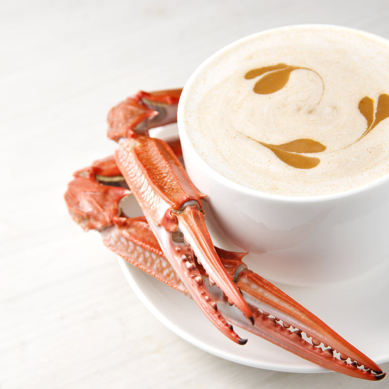 Sustainable red crab conservation — protecting king, snow, and Dungeness crabs
