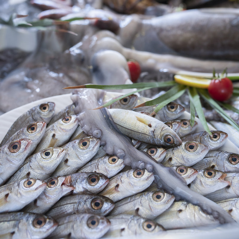 Colorful seafood festival spread featuring lobster, oysters, crab, and fresh fish at an outdoor coastal market