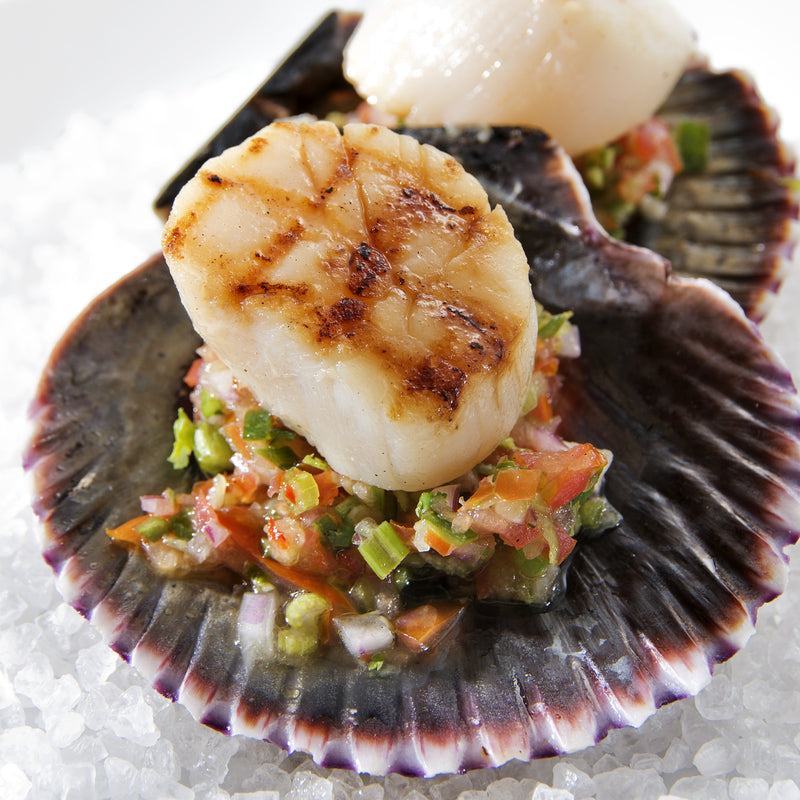 Eco-friendly biodegradable seafood packaging materials on a table