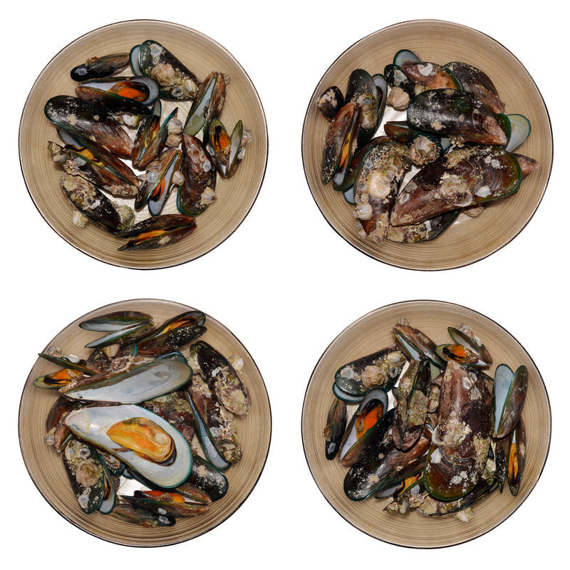 Mussels served at a coastal restaurant – top destinations for mussel lovers