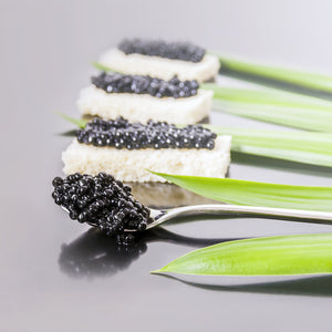 Exploring the Luxurious World of Beluga Caviar: A Gourmet Delight