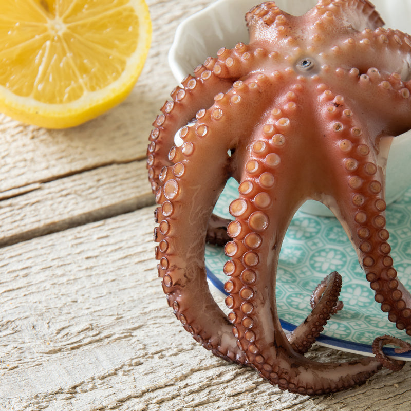Fresh tuna steak, salmon fillet, and halibut alongside crab legs and shrimp — some of the highest-protein seafood options available, ranging from 17g to 27g of protein per 3-oz serving