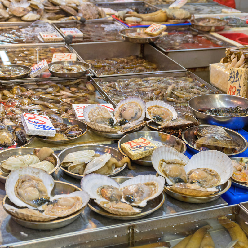 Geoduck clams in their natural Pacific Northwest sandy habitat, showing the long siphon neck of this sustainable filter-feeding shellfish