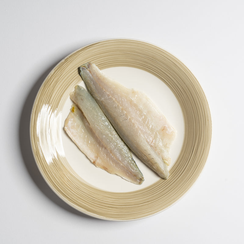 Fresh lingcod fillets ready for delivery from Global Seafoods